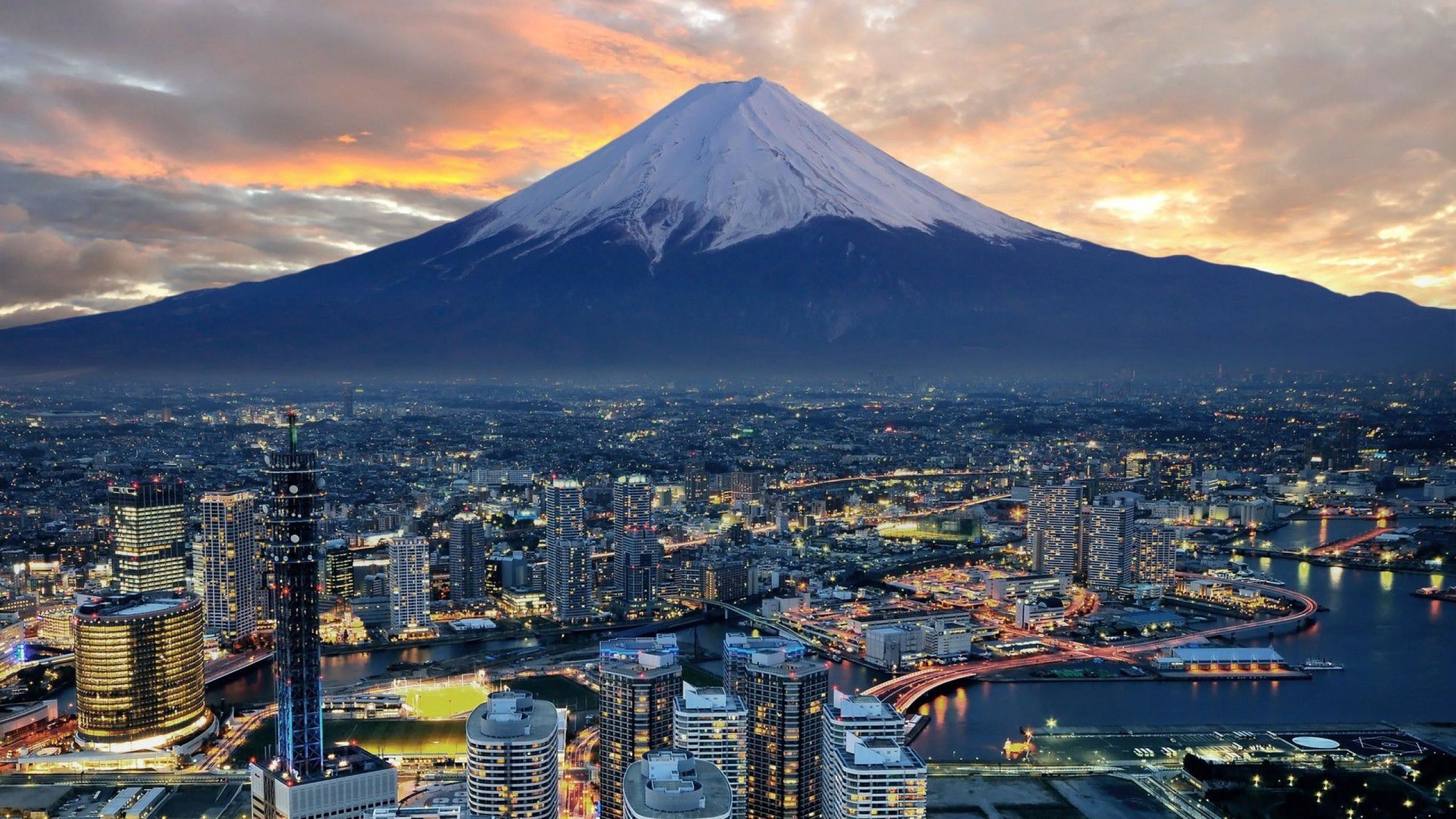 Japan Cherry Blossoms
